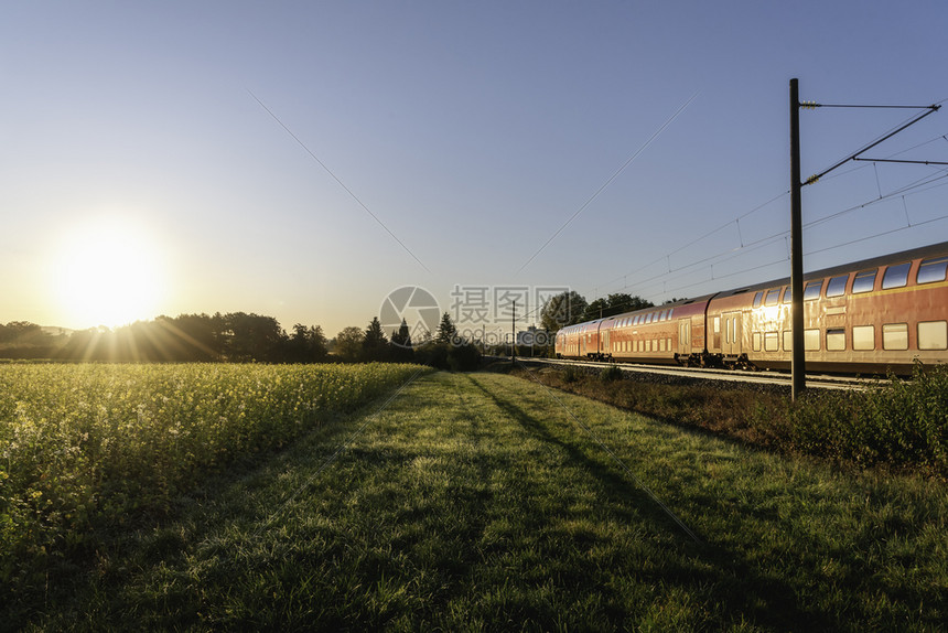 红色的德国列车在日出时火上行驶,春景、区域列车和黄色花田、种子和旅行列车、移动。图片