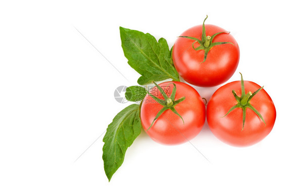 白色背景上的西红柿被孤立文本空闲间图片