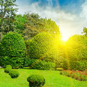 美丽的花园有绿色篱笆树木小巷绿草坪春日光中的明花图片