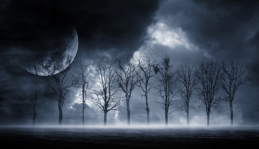暗淡的黑场景有树木大月亮光烟雾影子抽象的黑暗寒冷街道背景夜视图片