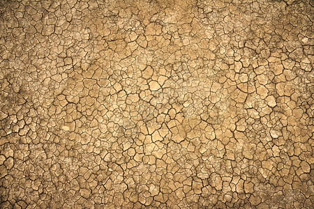 泥土进入旱季图片