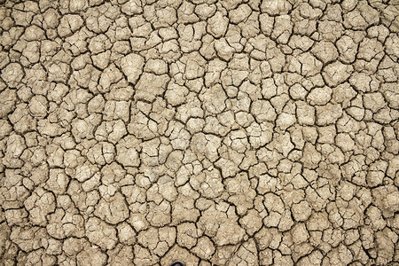 泥土进入旱季图片