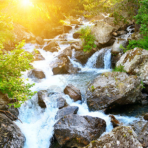 绿色森林中流淌着山河概念是旅行图片