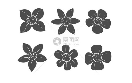 美丽的花卉矢量光影用于贺卡海报贴纸和季节设计孤立在白色背景上图片