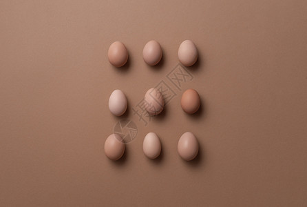 在显示的矩阵中有机棕色蛋的视图上方新收集的鸡蛋最小图像图片