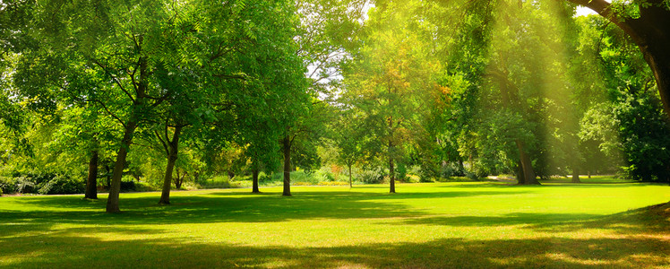 夏令营banner一个舒适的夏令营草坪宽阔照片广背景