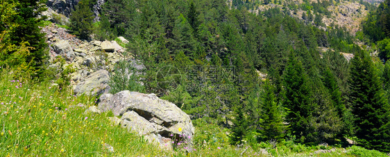 有草树木和岩石的长状山坡宽阔的相片图片
