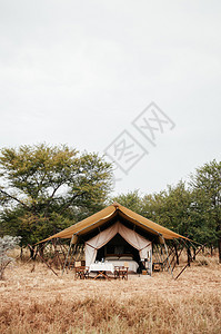 201年6月日jun01serngtianzi在SerngtiSanv热带草原雨林保留区野外旅游帐篷营地图片