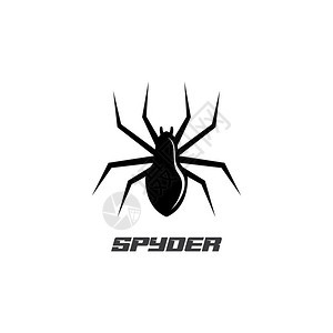 蜘蛛矢量标志背景图片