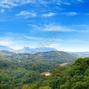 srilank地貌景观自然背图片