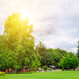 夏令营有美丽的绿草坪和阳光图片