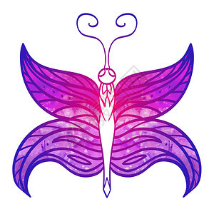 手画紫色蝴蝶图片
