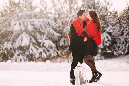 冬季在森林公园接吻的情侣图片