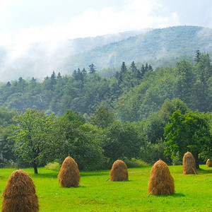 草原山丘的地平面乡村貌图片