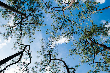 下午阳光与蓝天对面的阳光下行走在普克拉杜昂公园露伊泰兰图片