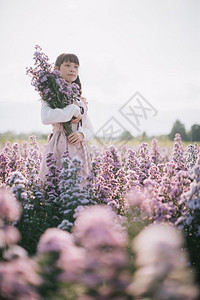 紫色花海中的女孩图片