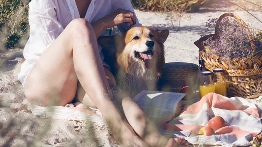 夏天女孩带着狗在野餐图片