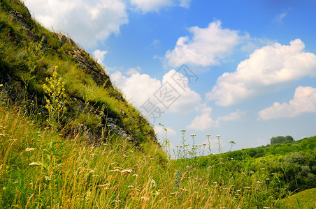 山谷的坡和草原植物图片