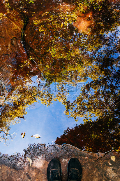 和美丽的树叶阴影和蓝天空反射在热带森林的水面上在phuKradeng公园图片
