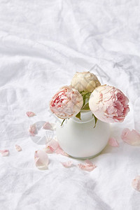 小瓷器花瓶粉红玫瑰朵和瓣上面有厚的白色床单复制空间情人节和日贺卡陶瓷花瓶上面有玫瑰图片