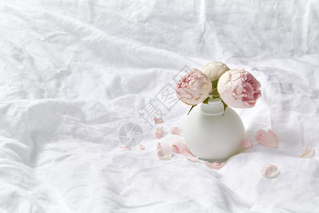 餐卡床上有折叠白板小陶瓷花瓶有新鲜天然机玫瑰花朵复制空间情人节和日贺卡花瓶在折叠床单上装有新鲜玫瑰图片