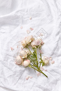 带轻折叠床单的假日卡有机天然玫瑰和皮花束小瓣复制空间valenti日贺卡带花板的图片