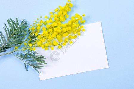 3月背景 3月摄影图片 3月壁纸 摄图网