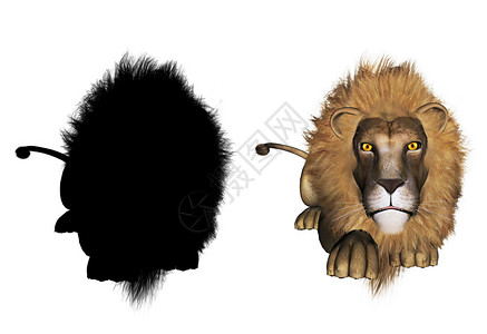 3d雄狮子和黑光影的数字投插图图片