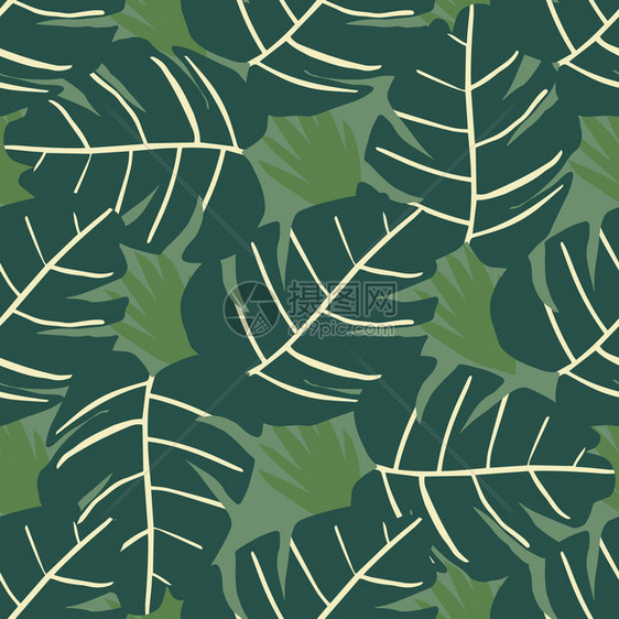 热带形态植物叶壁纸抽象的花叶植物背景织的外来设计纺织品包装纸矢量说明怪物的无缝形态植物叶壁纸图片