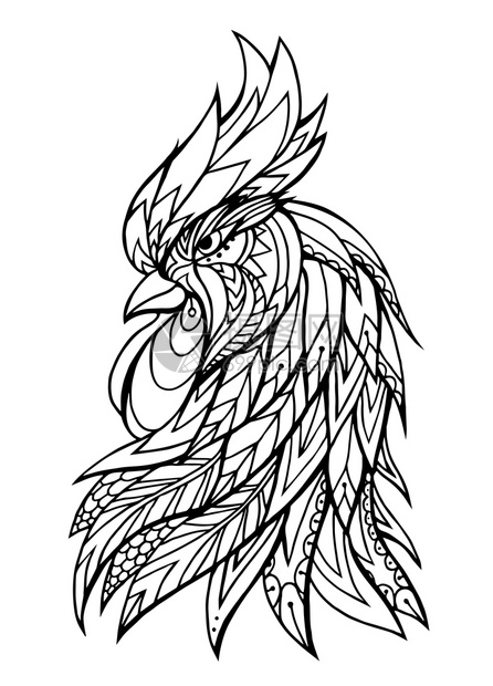 鸡头插图用boh模式dles插图t恤上纹身印的草图dolehurst