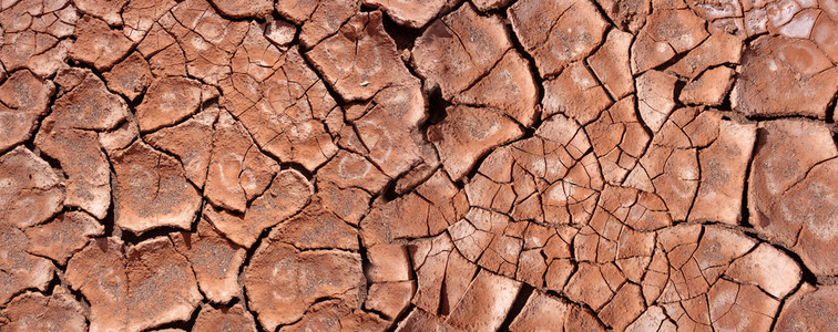 干泥土背景纹理全球变暖概念横幅干泥土背景纹理横幅图片