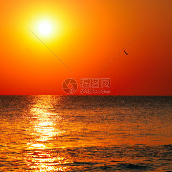 太阳在海面上升起概念是旅行图片