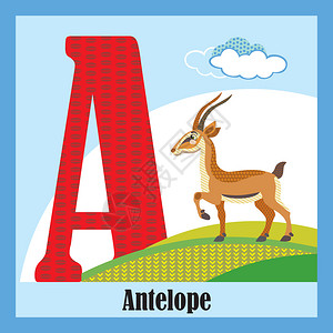 大写字母A开头的动物羚羊图片
