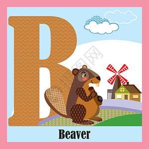 大写字母B开头的动物松鼠图片