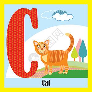 大写字母C开头的动物猫图片