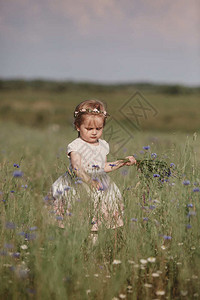 在田里的女孩收集一束花图片