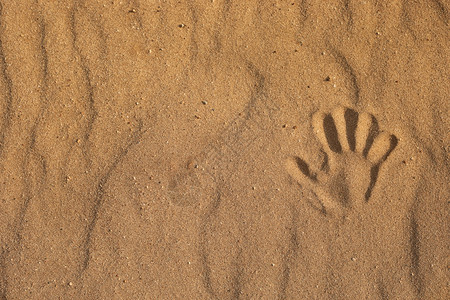 沙漠上的足迹沙滩上的手印一个手印海滩上的复制空间背景