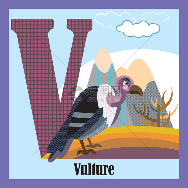 大写字母V开头的动物秃鹫图片