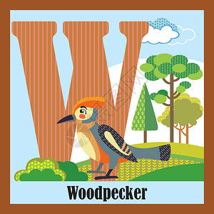 卡通矢量动物啄木鸟英文字母W图片