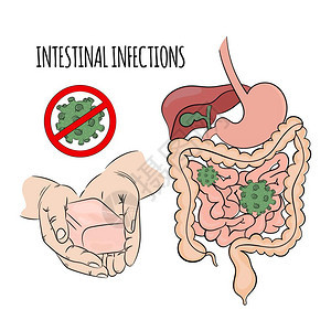 预防肠道感染图片