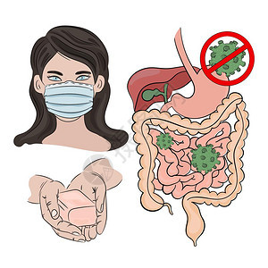 预防感染健康肠道病媒图片