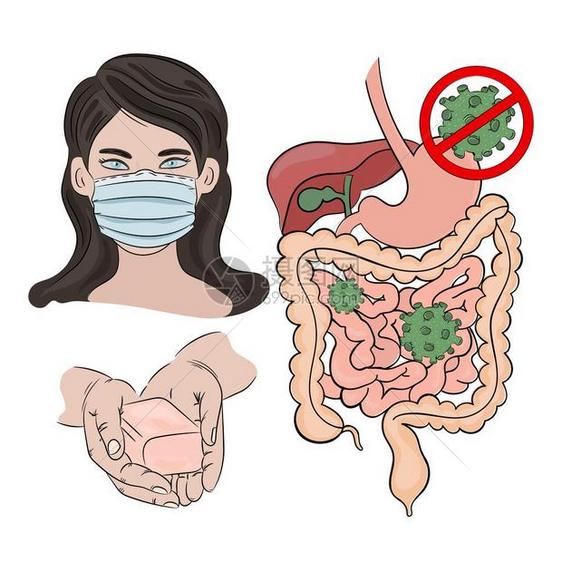 预防感染健康肠道病媒图片