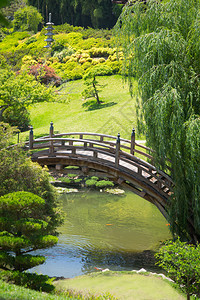 美丽的日本花园有池塘和桥图片