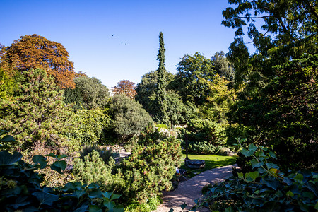 法国巴黎植物园法国巴黎植物园图片