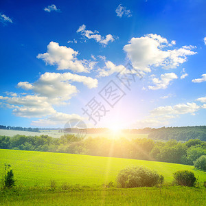 绿地蓝天空云彩明亮的日出在地平线上图片