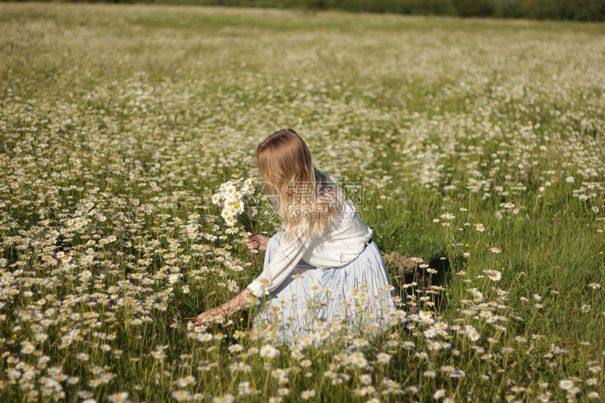 漂亮的金发美女在阳光明媚的夏日田野上美丽女孩在户外放松玩得开心拿着花草快乐的年轻女士春绿的自然和谐概念图片