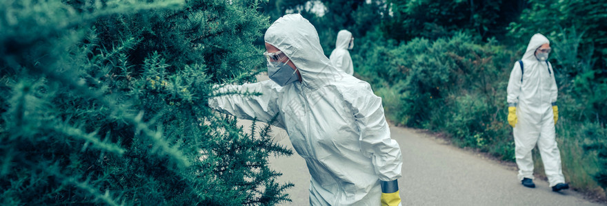 在空路植被中寻找样本图片