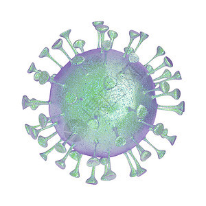 3d白底隔离的冠状插图图片