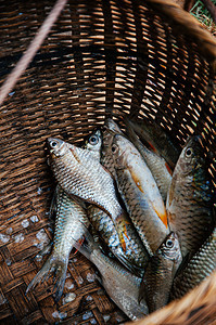竹篮中闪亮的鱼皮细节Asian海产食品市场烹饪成分概念背景图片
