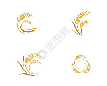 高粱面粉矢量图标设计插画